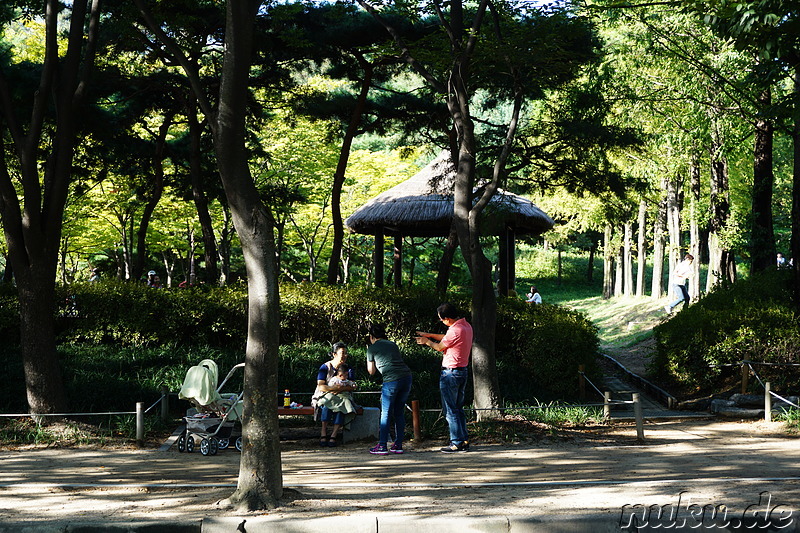 Incheon Grand Park (인천대공원) in Incheon, Korea