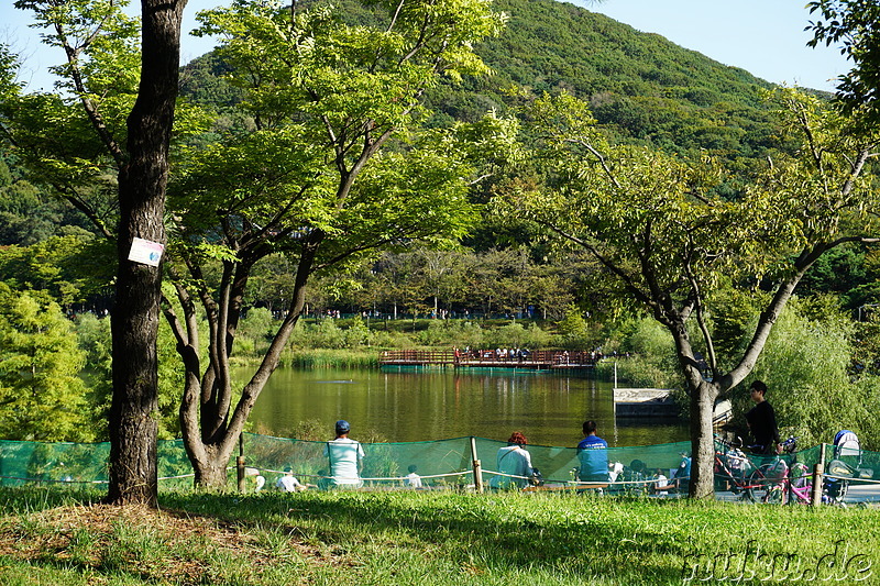 Incheon Grand Park (인천대공원) in Incheon, Korea