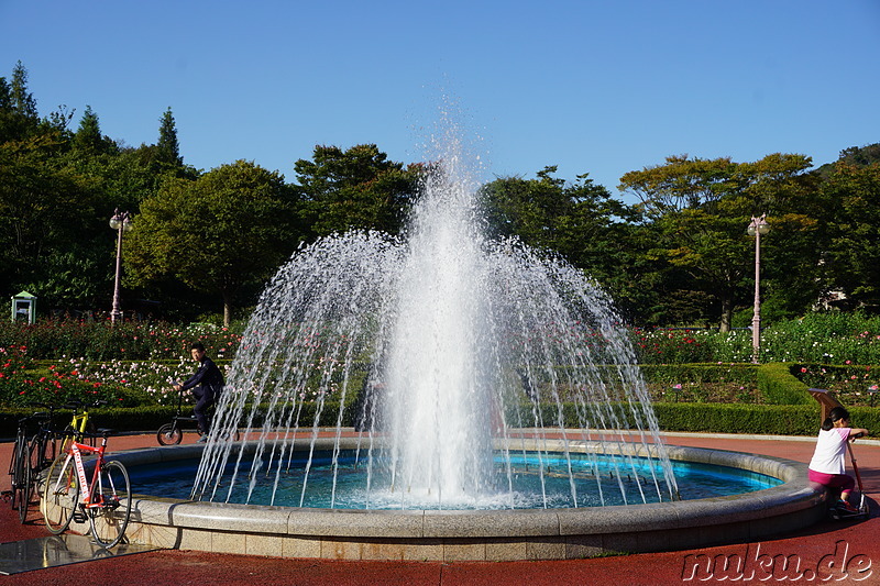 Incheon Grand Park (인천대공원) in Incheon, Korea