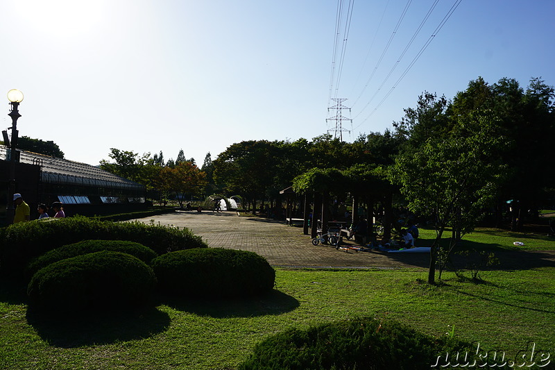 Incheon Grand Park (인천대공원) in Incheon, Korea