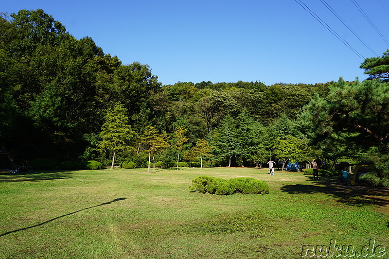 Incheon Grand Park (인천대공원) in Incheon, Korea