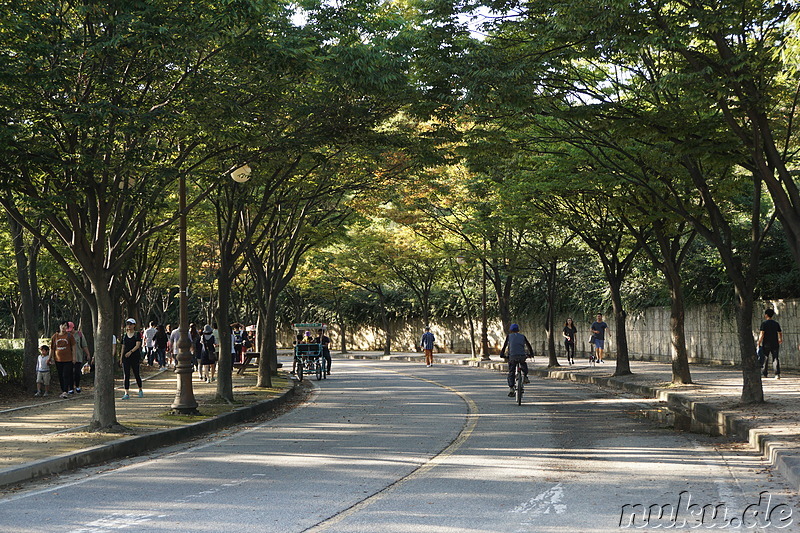 Incheon Grand Park (인천대공원) in Incheon, Korea