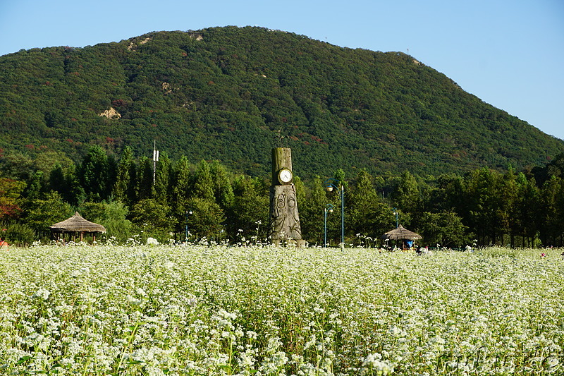 Incheon Grand Park (인천대공원) in Incheon, Korea