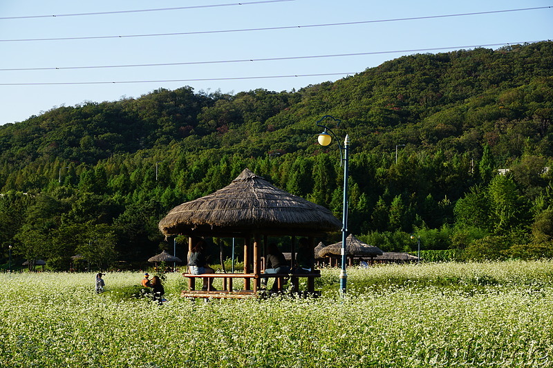 Incheon Grand Park (인천대공원) in Incheon, Korea