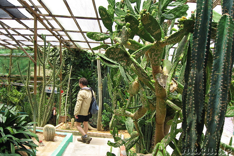 Insekten- und Schmetterlingspark in den Cameron Highlands, Malaysia