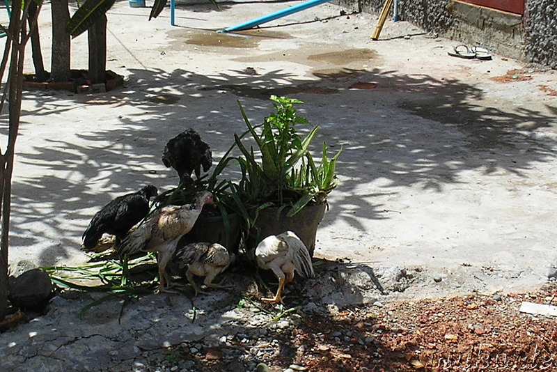 Irgendwo in Vang Vieng, Laos