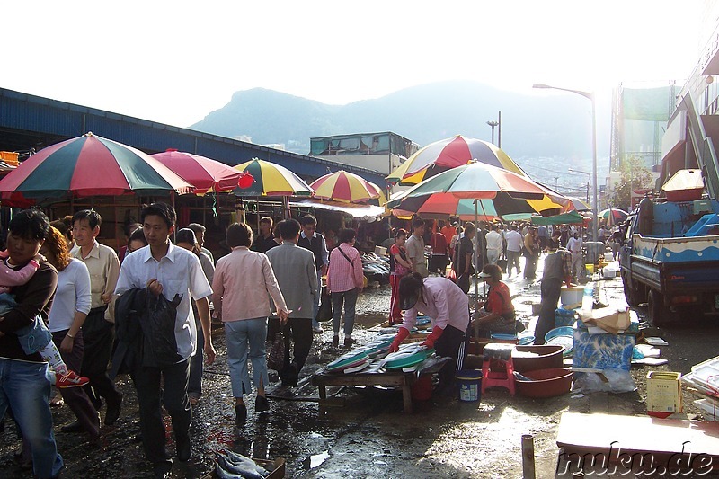 Jagalchi Fischmarkt, Busan