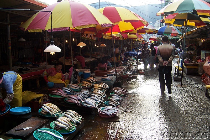 Jagalchi Fischmarkt, Busan