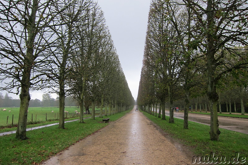 Jardin de Versailles - Schlossgarten in Versailles, Frankreich