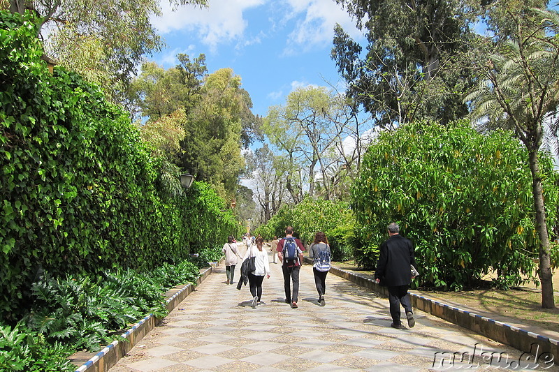 Jardines del Alcazar in Sevilla, Spanien