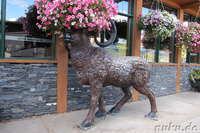 Jasper Brewing Company - Brauerei in Jasper, Kanada