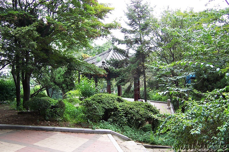 Jayu Park in Incheon