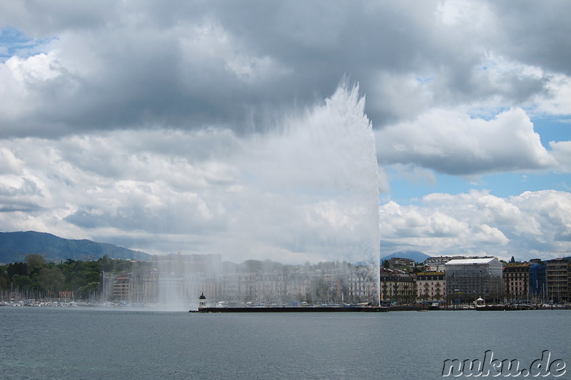 Jet d’eau - Springbrunnen im Hafen von Genf, Schweiz