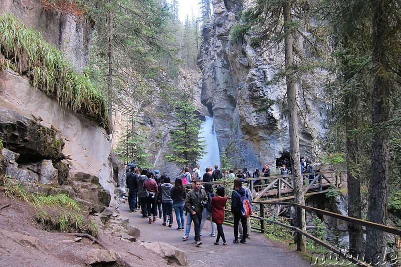 Johnston Canyon im Banff National Park, Kanada