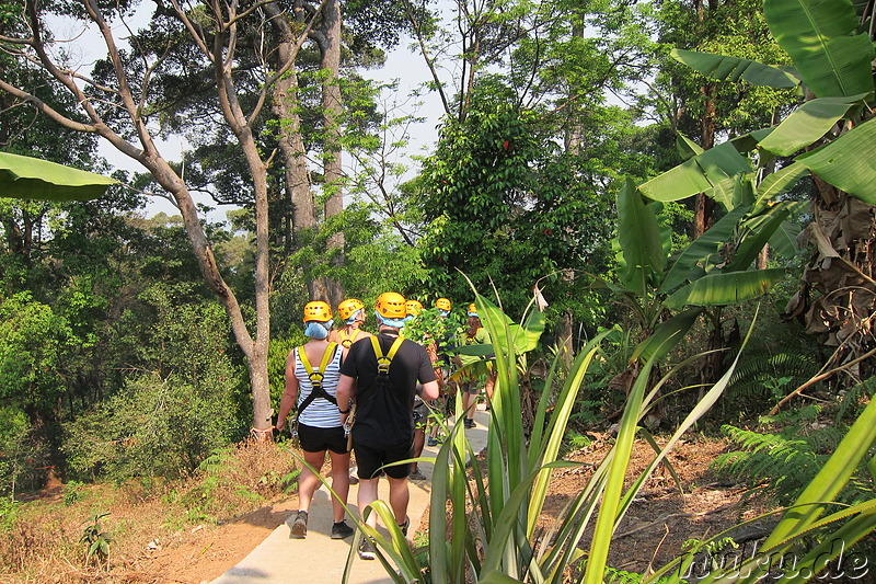 Jungle Flight (Flight of the Gibbon) in Chiang Mai, Thailand