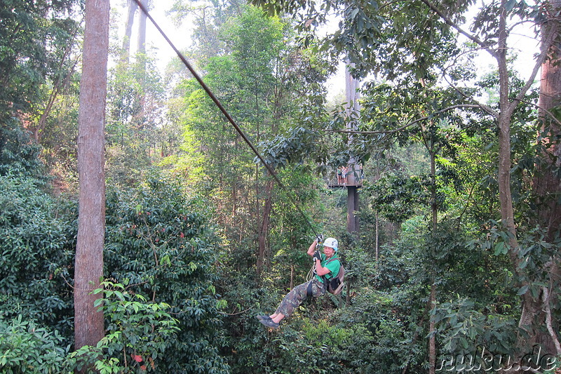 Jungle Flight (Flight of the Gibbon) in Chiang Mai, Thailand