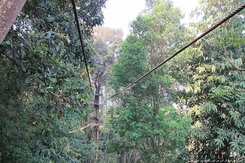 Jungle Flight (Flight of the Gibbon) in Chiang Mai, Thailand