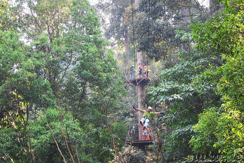 Jungle Flight (Flight of the Gibbon) in Chiang Mai, Thailand