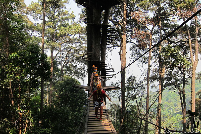 Jungle Flight (Flight of the Gibbon) in Chiang Mai, Thailand