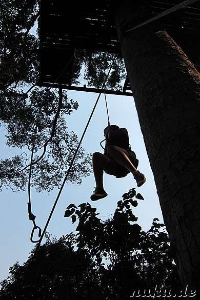 Jungle Flight (Flight of the Gibbon) in Chiang Mai, Thailand