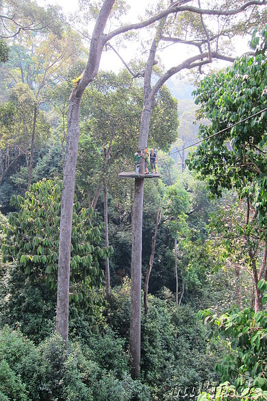 Jungle Flight (Flight of the Gibbon) in Chiang Mai, Thailand