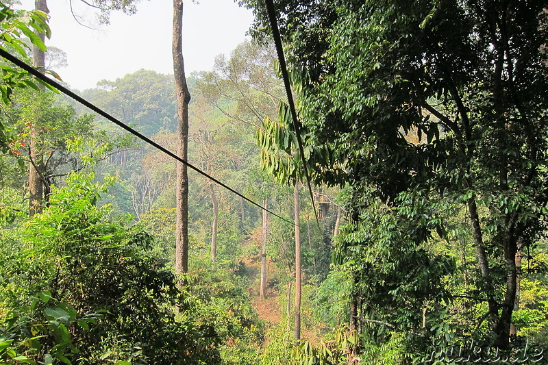 Jungle Flight (Flight of the Gibbon) in Chiang Mai, Thailand