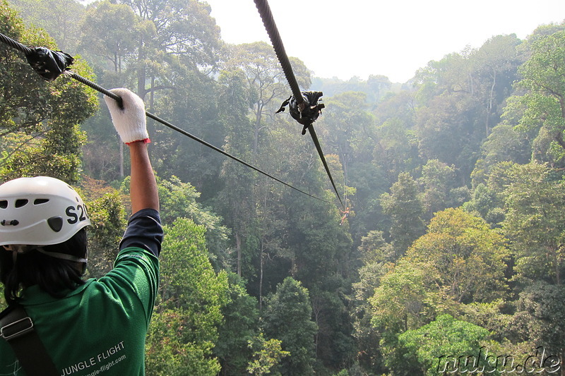 Jungle Flight (Flight of the Gibbon) in Chiang Mai, Thailand