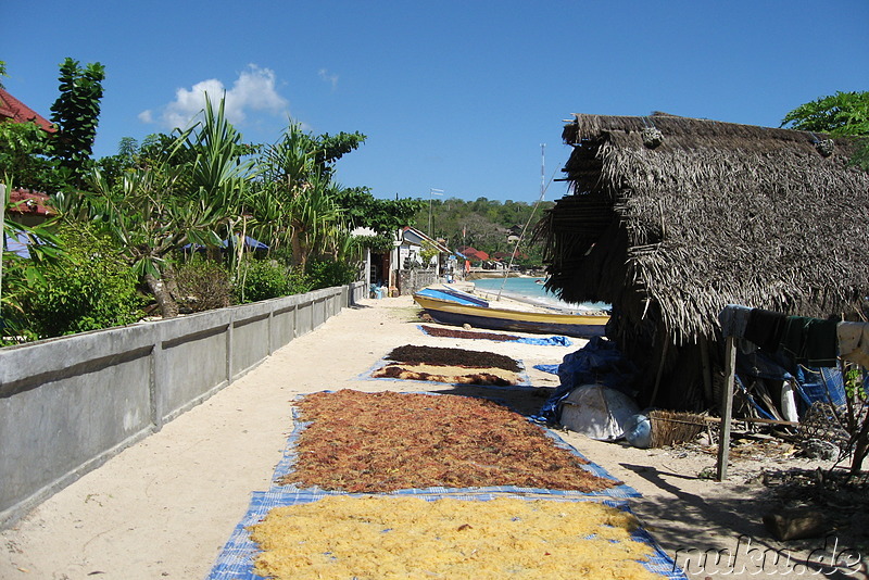 Jungutbatu und Pantai Selegimpak Strände auf Nusa Lembongan, Indonesien