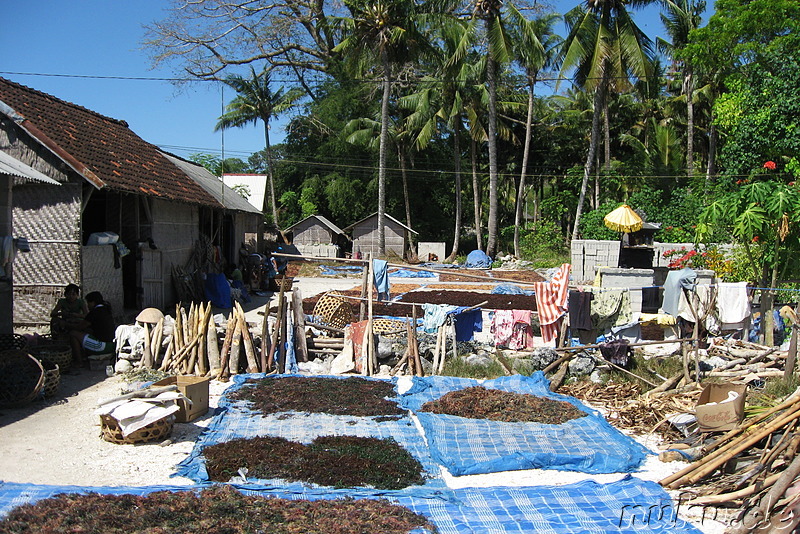 Jungutbatu und Pantai Selegimpak Strände auf Nusa Lembongan, Indonesien