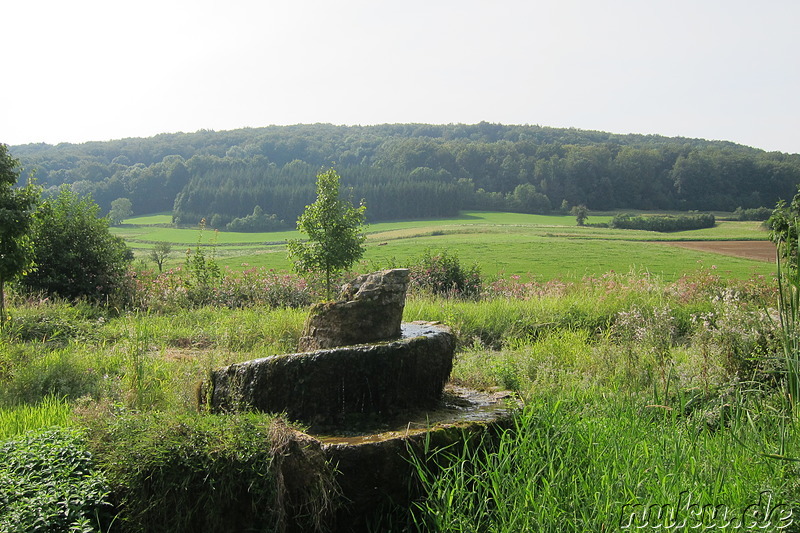 Juraschnecke in Tiefenellern in Franken, Bayern