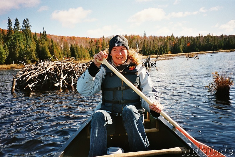 Kanutour auf einem See im Algonquin Provincial Park in Ontario, Kanada