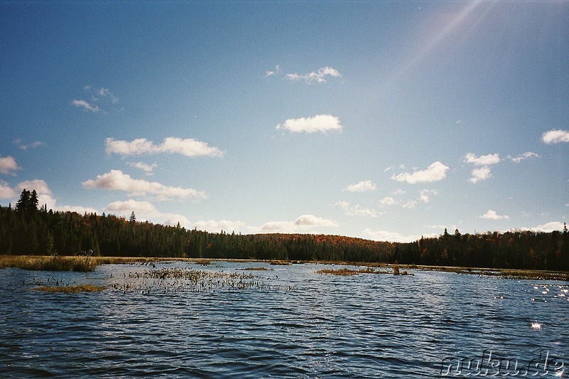 Kanutour auf einem See im Algonquin Provincial Park in Ontario, Kanada