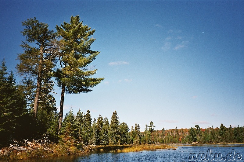 Kanutour auf einem See im Algonquin Provincial Park in Ontario, Kanada