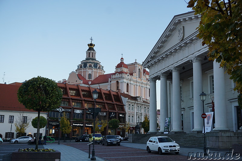 Kathedrale St. Stanislaus in Vilnius, Litauen