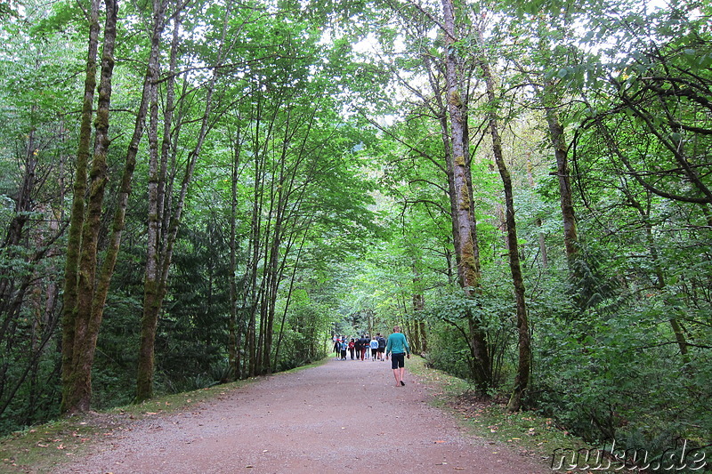 Kettle Valley Railway im Coquihalla Canyon Provincial Park in British Columbia, Kanada