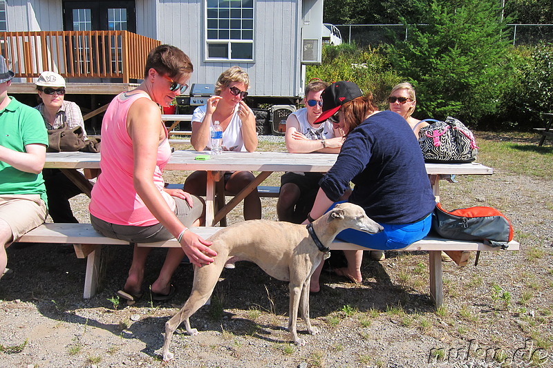 Kleiner Privatflughafen in British Columbia, Kanada