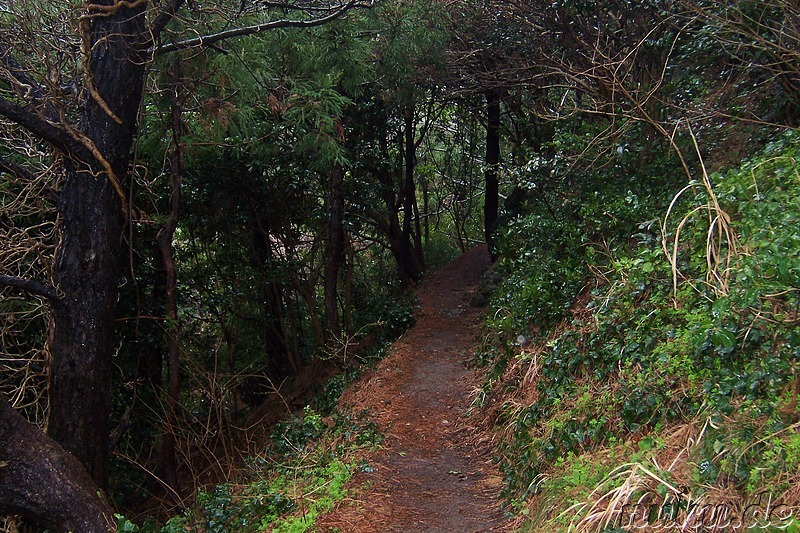 Kleiner Wanderweg auf dem Manghyangbong