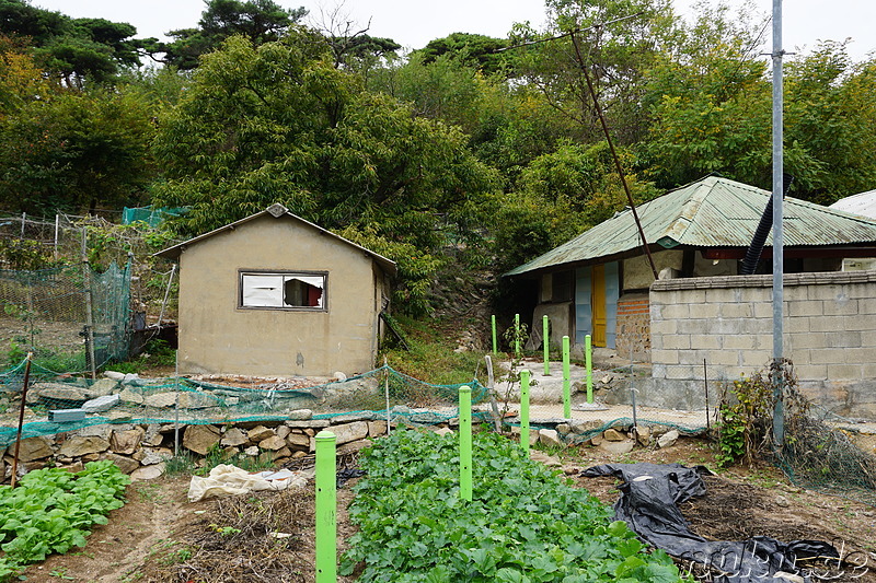 Kleines Dorf auf der Insel Somuuido, Korea