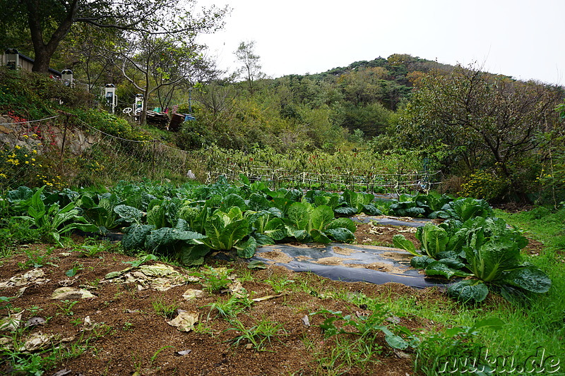 Kleines Dorf auf der Insel Somuuido, Korea