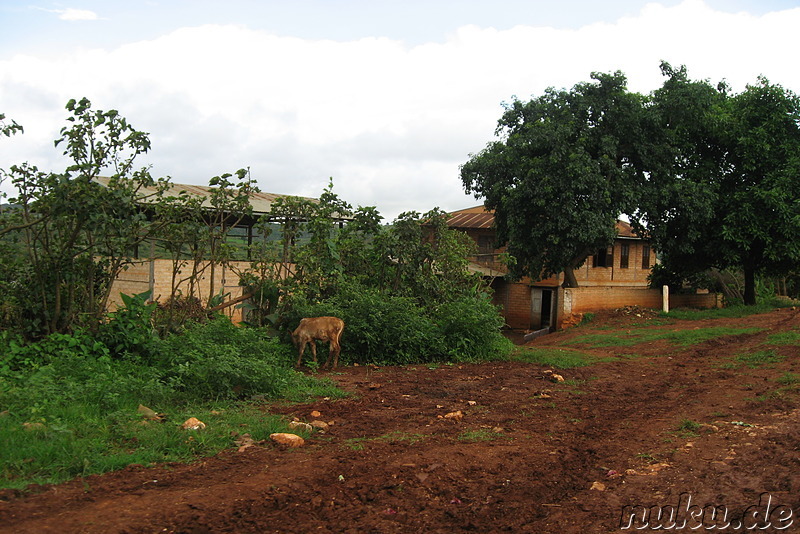 Kleines Dorf in Burma