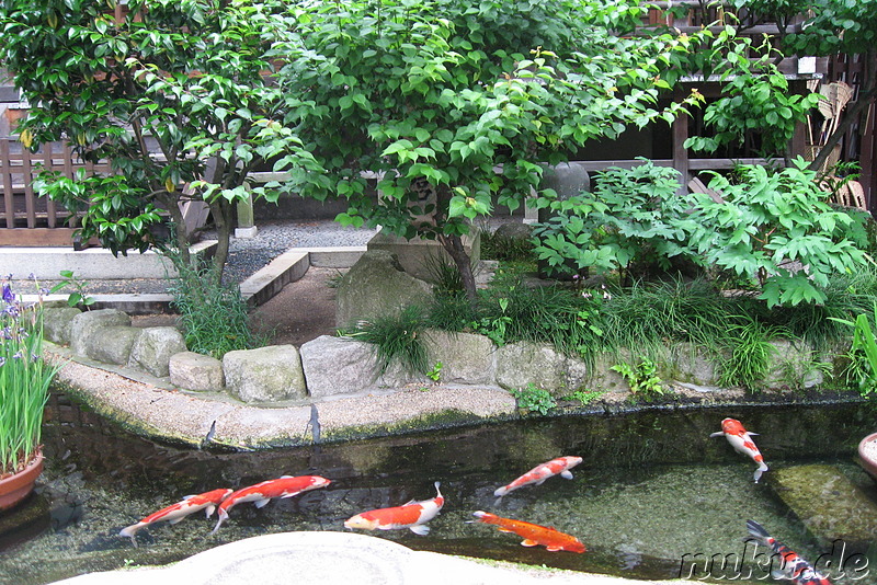 Kushida-jinja Tempel in Fukuoka, Japan