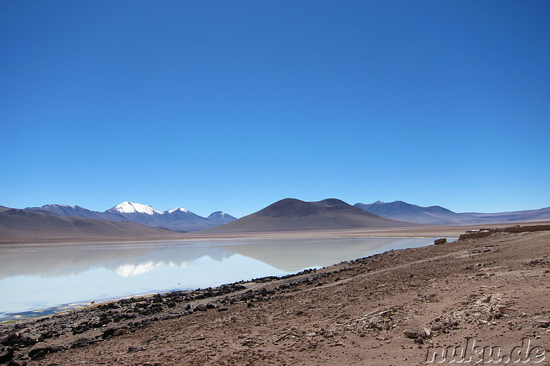 Laguna Blanca in Uyuni, Bolivien