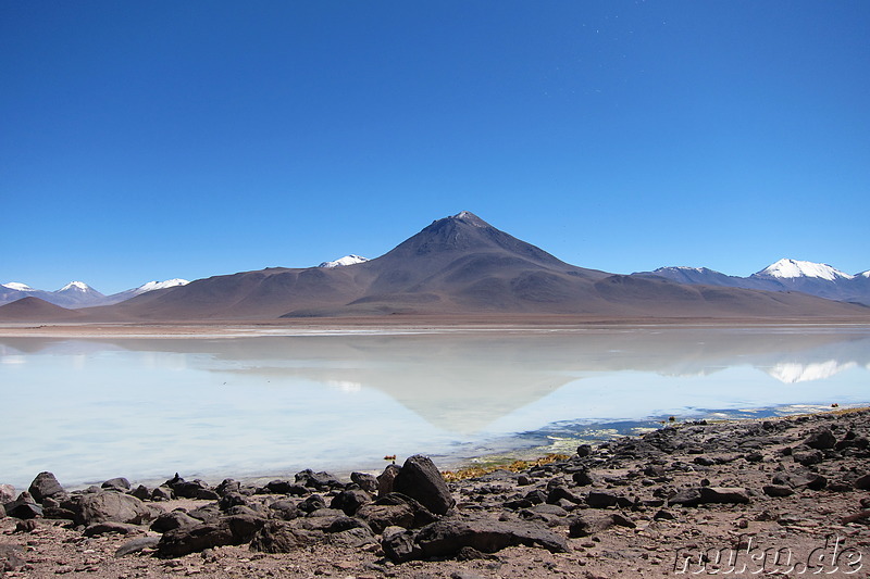 Laguna Blanca in Uyuni, Bolivien