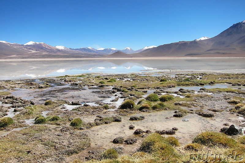 Laguna Blanca in Uyuni, Bolivien