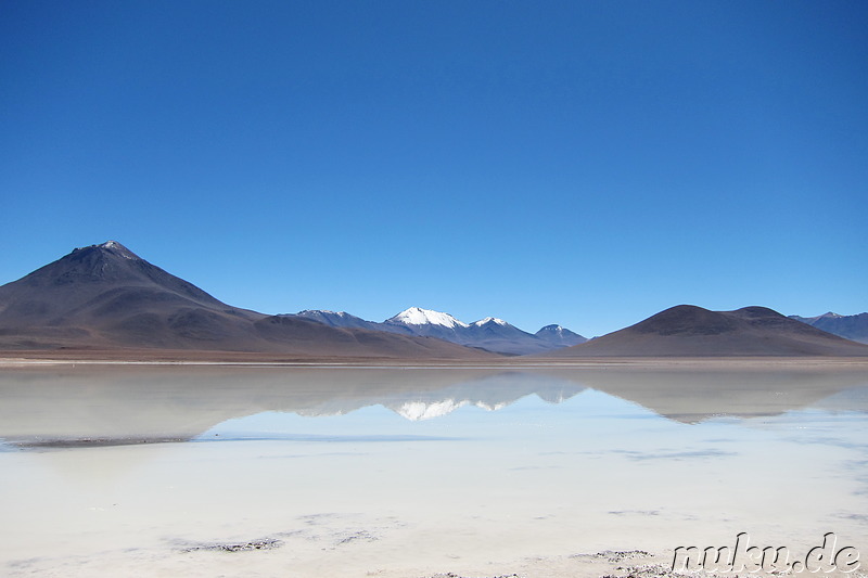 Laguna Blanca in Uyuni, Bolivien