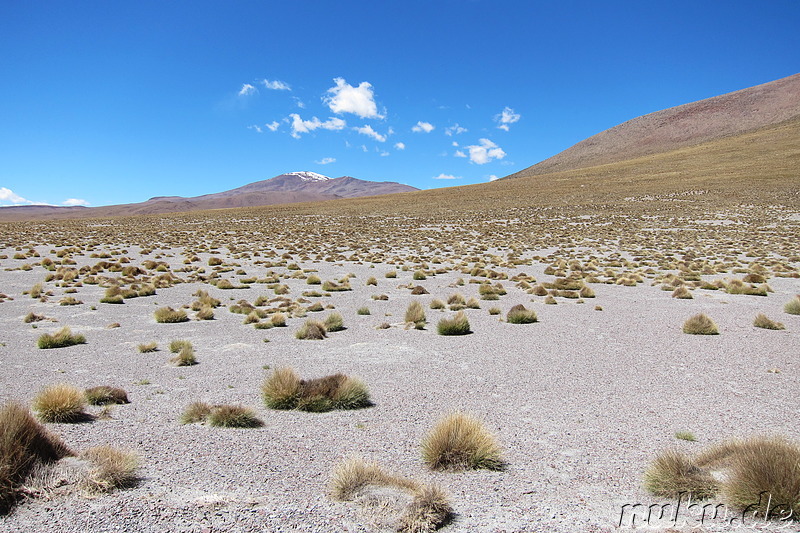 Laguna Canapa, Bolivien