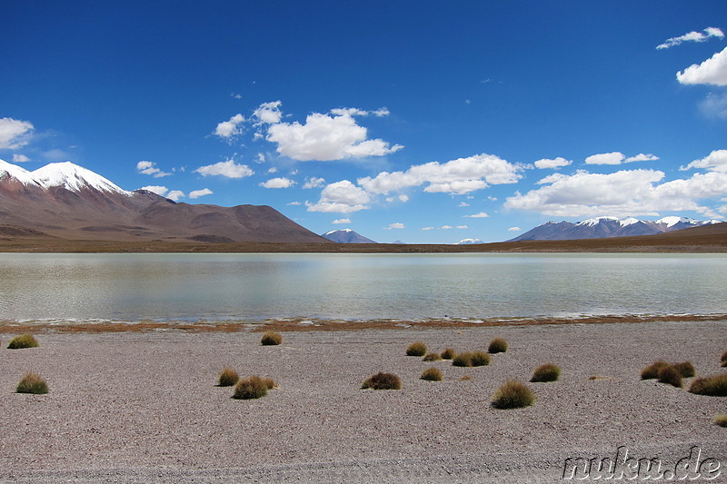 Laguna Canapa, Bolivien