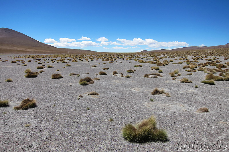 Laguna Canapa, Bolivien