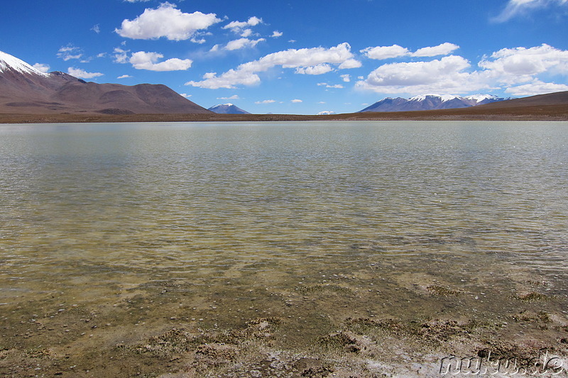 Laguna Canapa, Bolivien