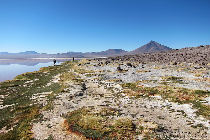 Laguna Colorada, Bolivien